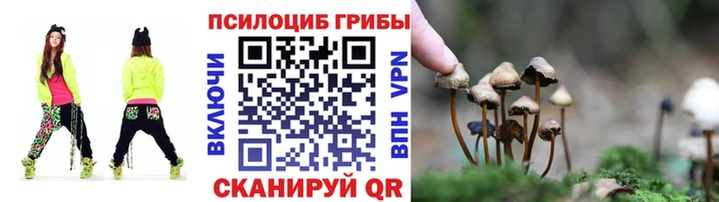 KRAKEN онион  Сосновый Бор  Псилоцибиновые грибы ЛСД 