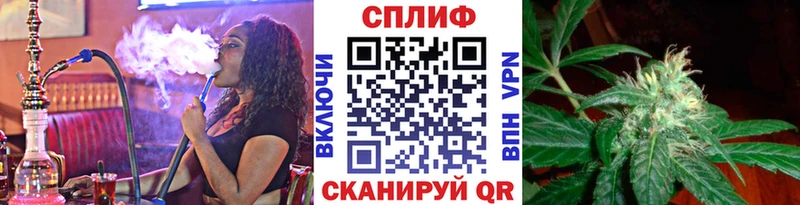 Канабис THC 21%  блэк спрут ТОР  Сосновый Бор  наркошоп 